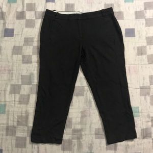 Loft Marisa Pants